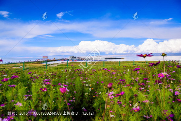 青海湖