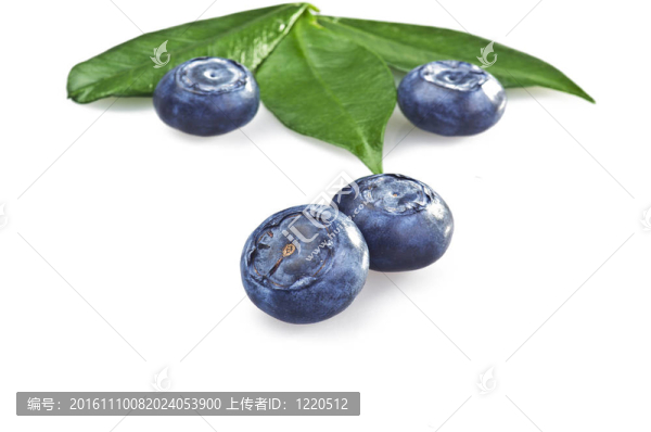 白色背景上的藍(lán)莓