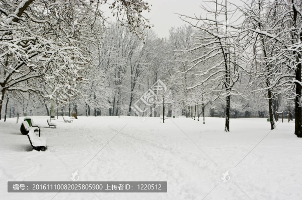 雪中的米蘭意大利冬季公園