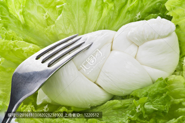 用叉子在沙拉Mozzarella