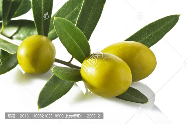 橄欖特寫白色背景