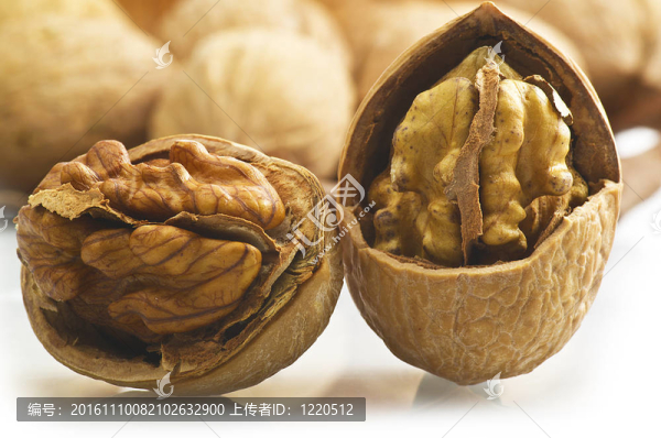 核桃開在白色