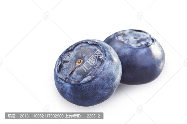 白色背景上的藍(lán)莓