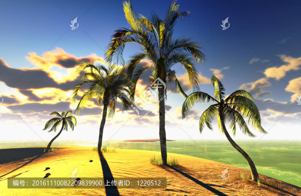 夏威夷天堂