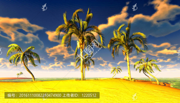 夏威夷天堂