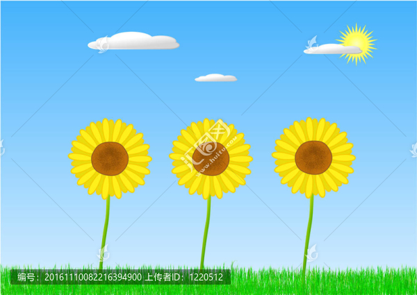 向日葵