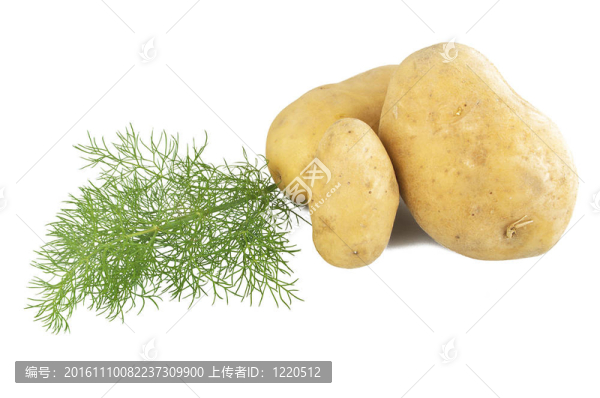 生土豆上的白色