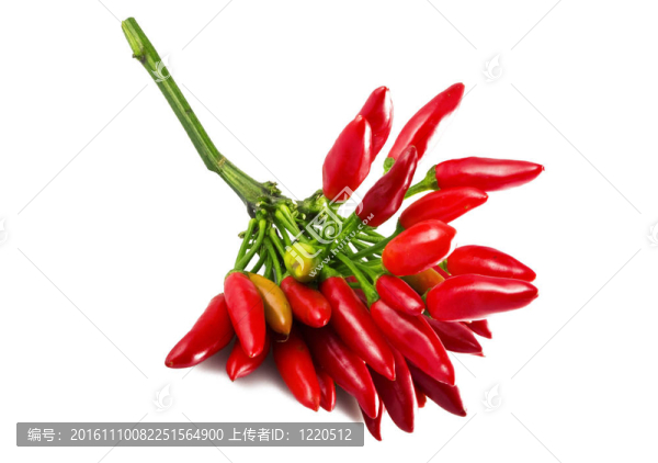 紅色的辣椒在白色的