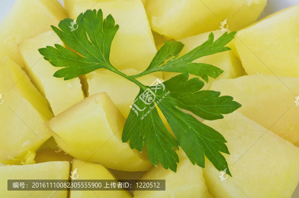 土豆和香菜收起來-匯圖網(wǎng) www.fosd68.com 土豆和香菜收起來