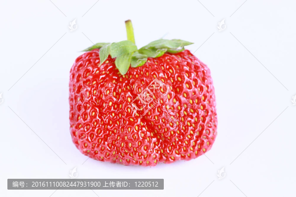許多鮮紅色草莓