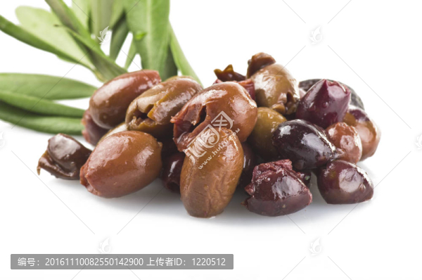 橄欖taggiasche在白色背景