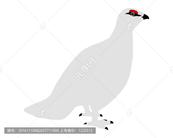 雷鳥