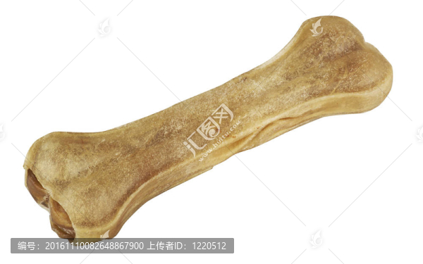 狗的配件和白色的食物