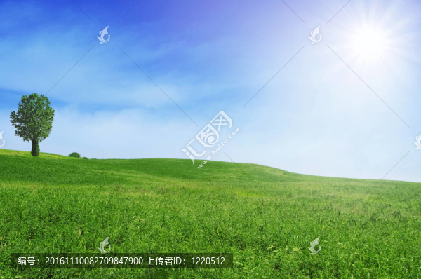 綠色田野與藍(lán)天的夏日景觀-匯圖網(wǎng) www.fosd68.com 綠色田野與藍(lán)天的夏日景觀