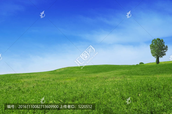 綠色田野與藍(lán)天的夏日景觀