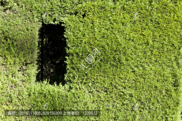 綠色長(zhǎng)城-匯圖網(wǎng) www.fosd68.com 綠色長(zhǎng)城