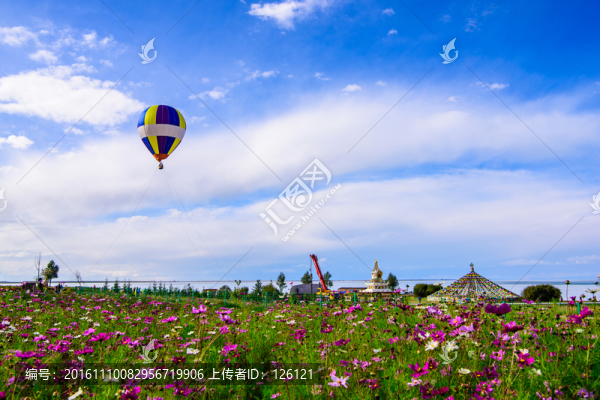 青海湖風(fēng)光