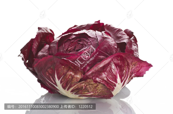 白色的紅色沙拉