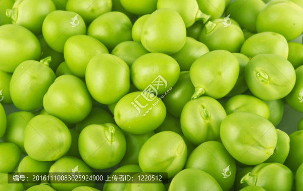 鮮豌豆質(zhì)地接近