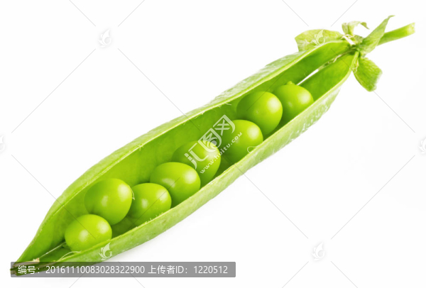 白色背景上的新鮮豌豆