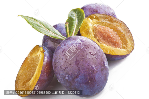 白色背景上的李子