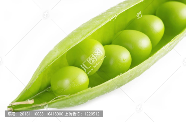 白色背景上的新鮮豌豆