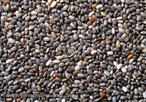 正大種子的背景。