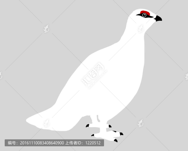 雷鳥(niǎo)