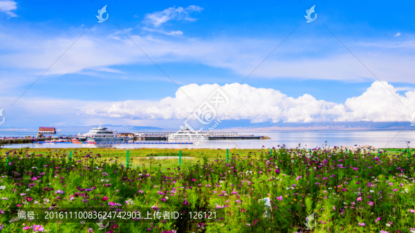 青海湖風(fēng)光