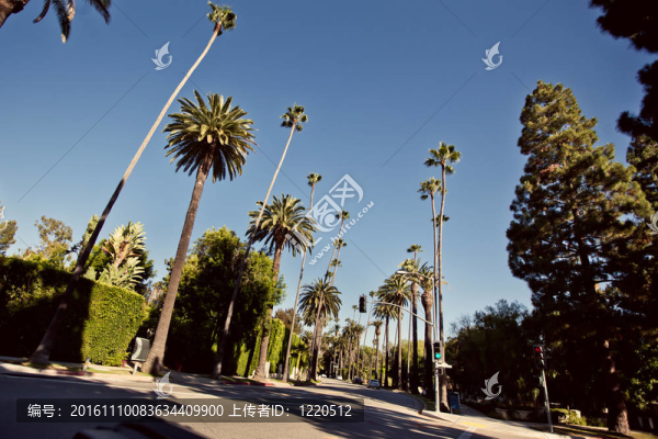 貝弗利山莊棕櫚街-匯圖網(wǎng) www.fosd68.com 貝弗利山莊棕櫚街