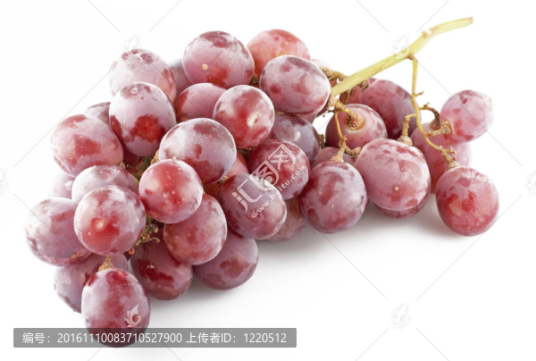 新鮮葡萄滴接近