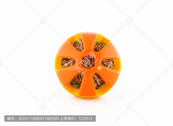 球的幻想