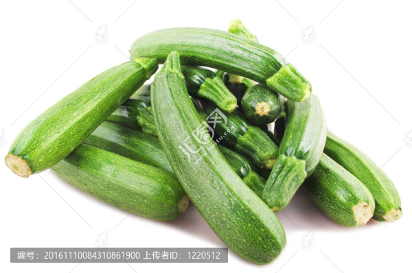 生西葫蘆上的白