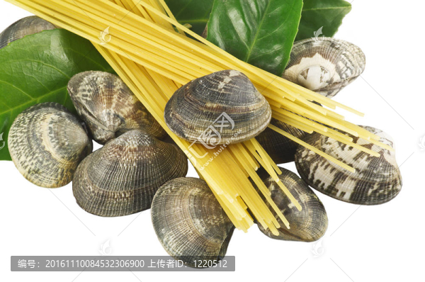 活的蛤與意大利面條和大蒜