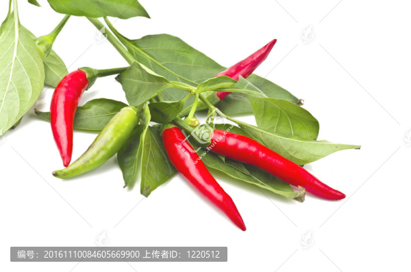 紅辣椒在白色