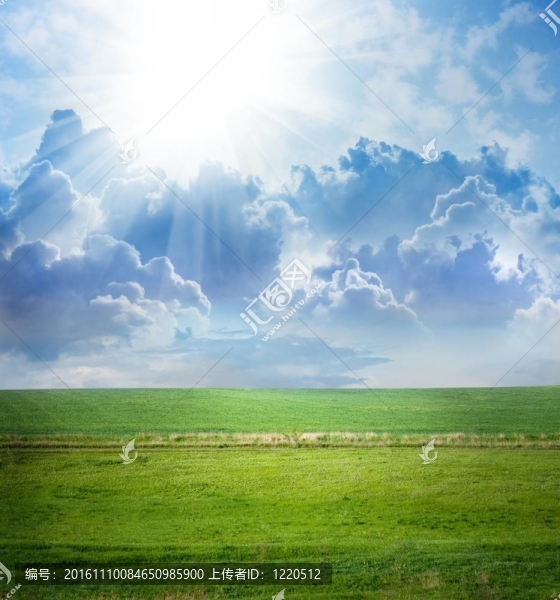 陽光明媚的夏日
