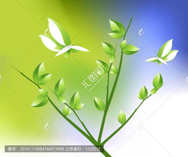 生態(tài)學(xué)的概念