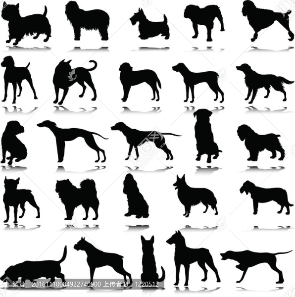 狗的黑色插圖