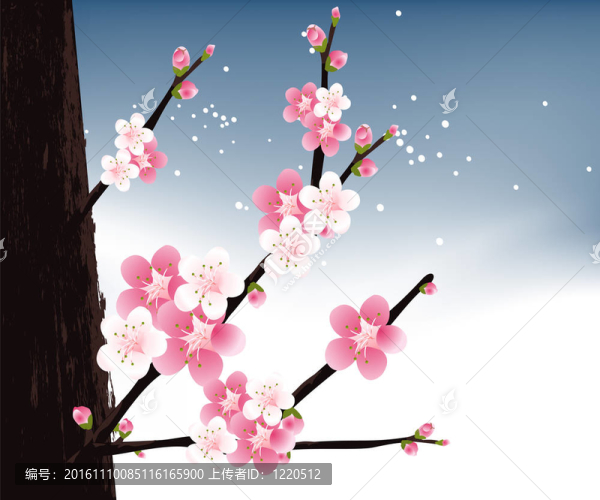 花的插圖