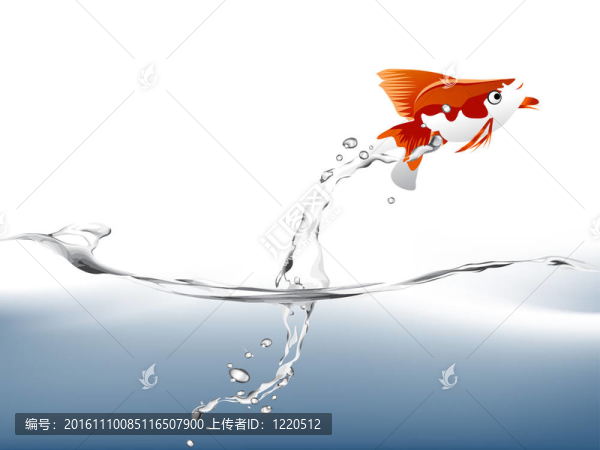 金魚