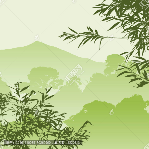 森林景觀