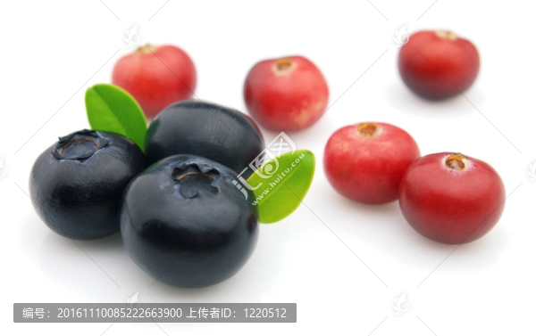 藍(lán)莓和蔓越莓