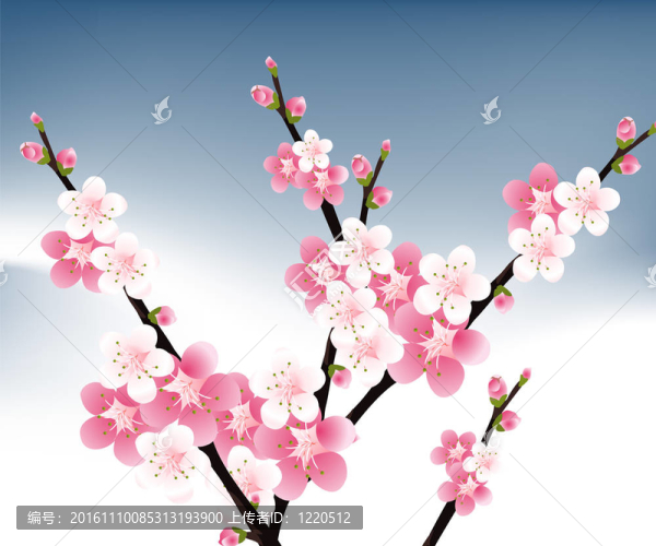 花的插圖-匯圖網(wǎng) www.fosd68.com 花的插圖