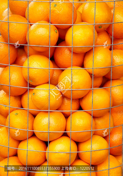 金屬網(wǎng)格中的橙色