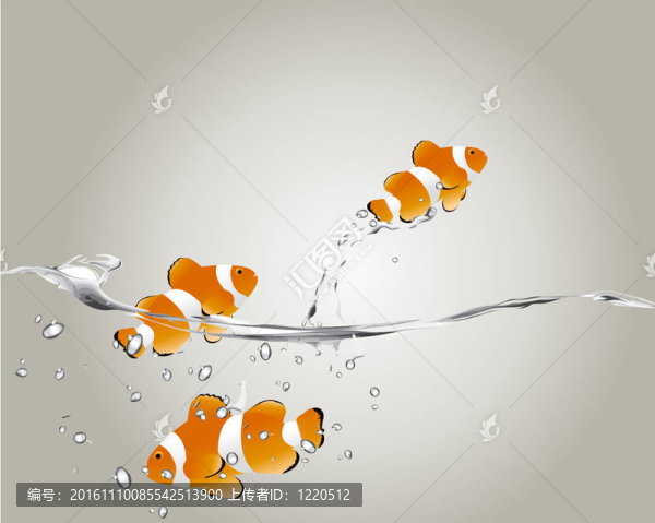小丑魚
