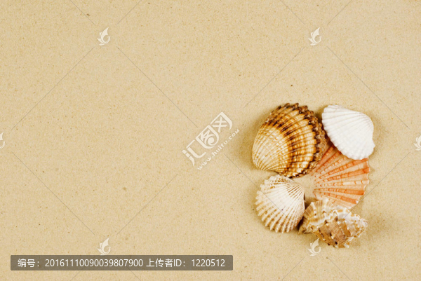 記憶從假日