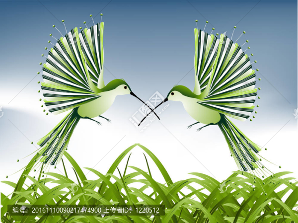 蜂鳥