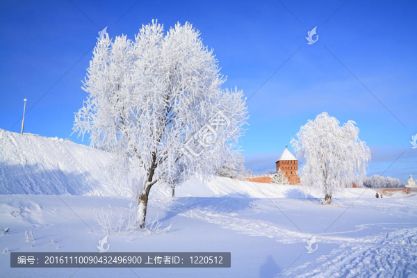 在雪中的樹反對舊的堡壘