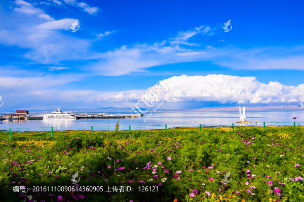 青海湖風(fēng)光