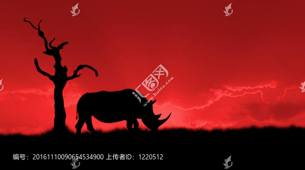 非洲犀牛的剪影